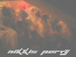 Nikkis Party