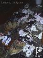 mau_abschied_016_w.jpg 450x600 91 KB mau_abschied_016_w.jpg